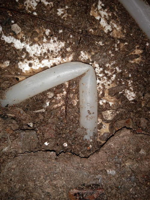 大田堵点精准查找